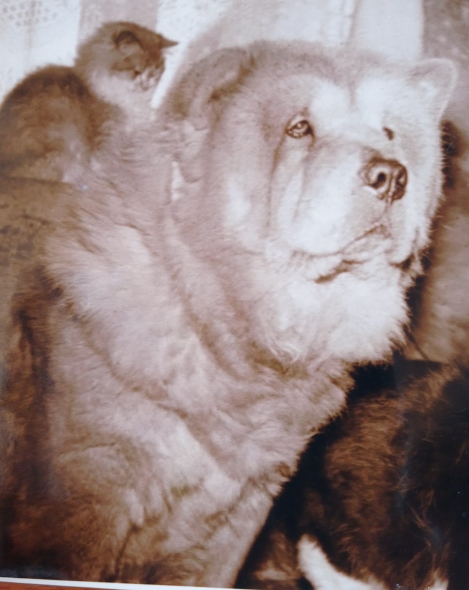 Сабина. Её папу звали по паспорту Ман-да-рин. Поэтому она у нас была Сабина Мандариновна.)