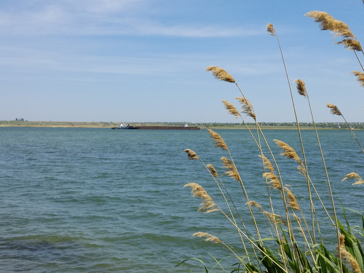 Берег Волго-Донского канала