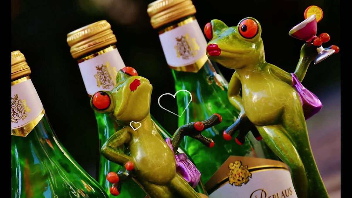 фото из свободного источника