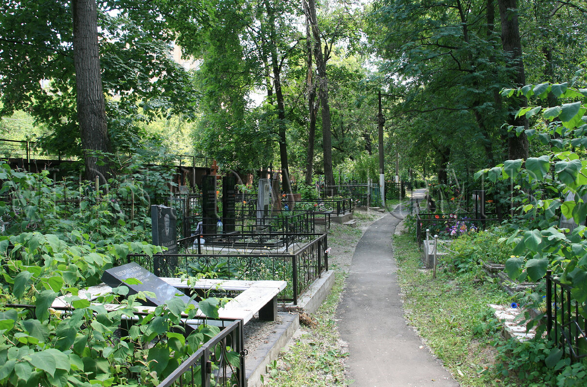 картинка из открытых источников в сети