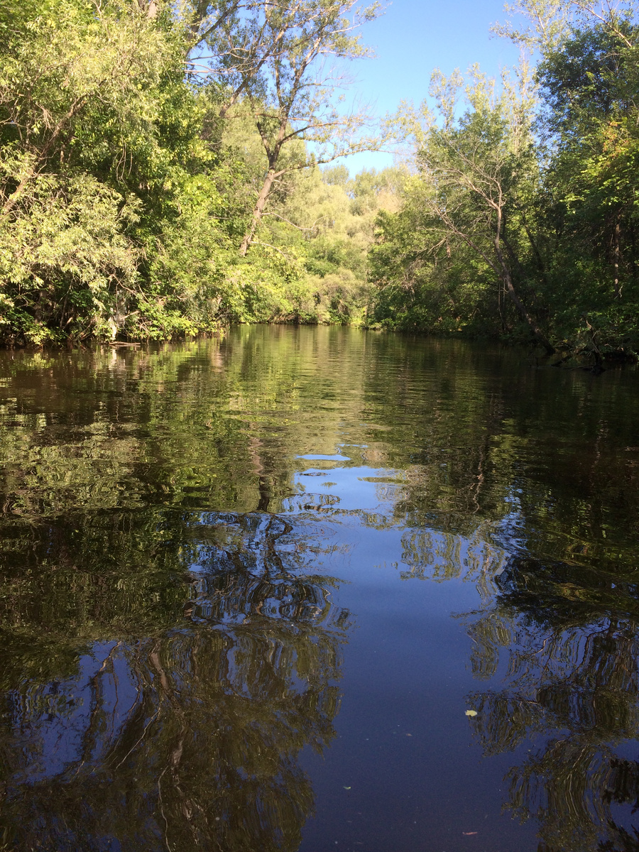 Как в зеркале