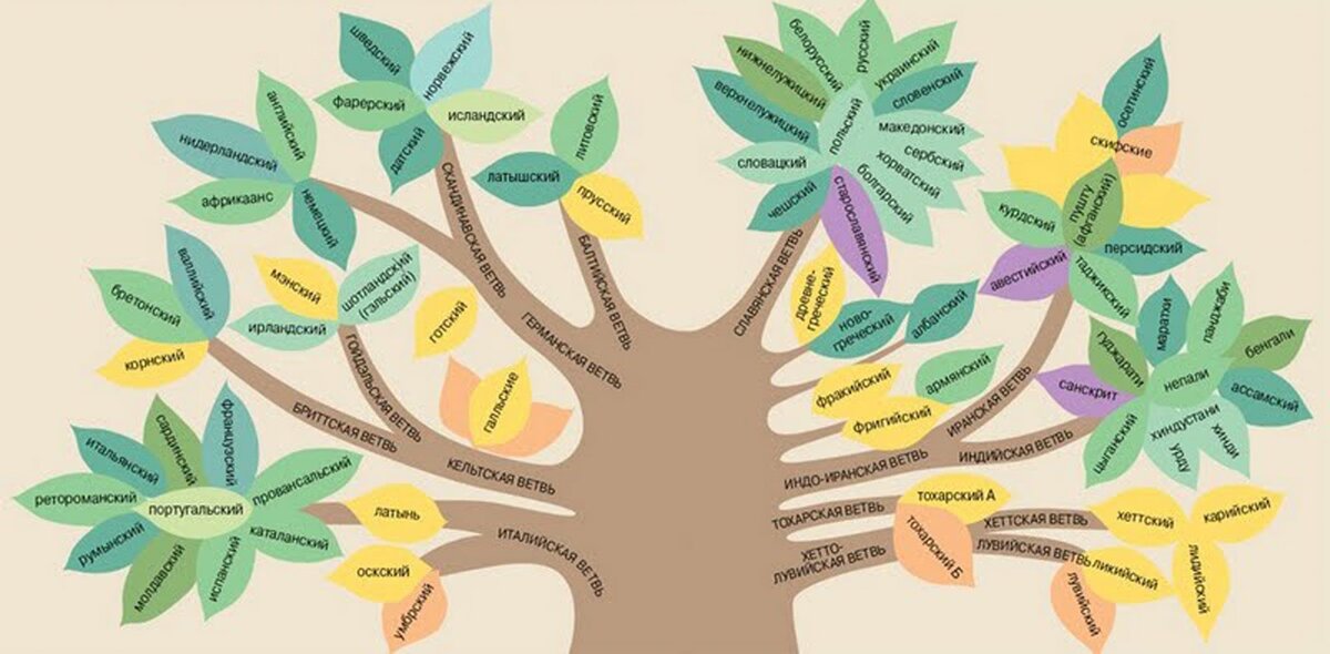 Индоевропейские ветви. Индоевропейская семья генеалогическое дерево. Индоевропейская семья языков дерево. Генеалогическое Древо индоевропейских языков. Генеалогическое Древо индоевроп языков.