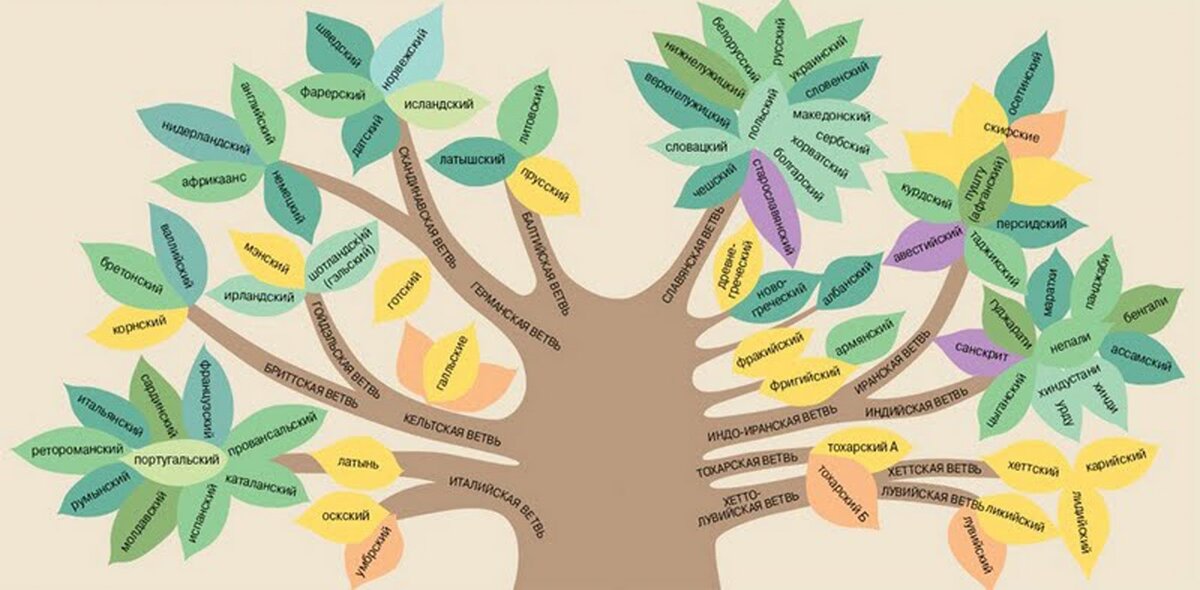 Генеалогическое древо русского языка картинки
