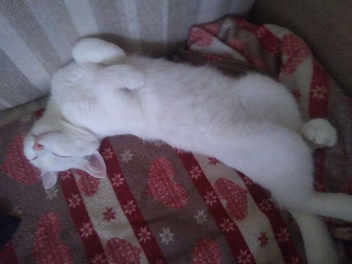 Личное фото автора