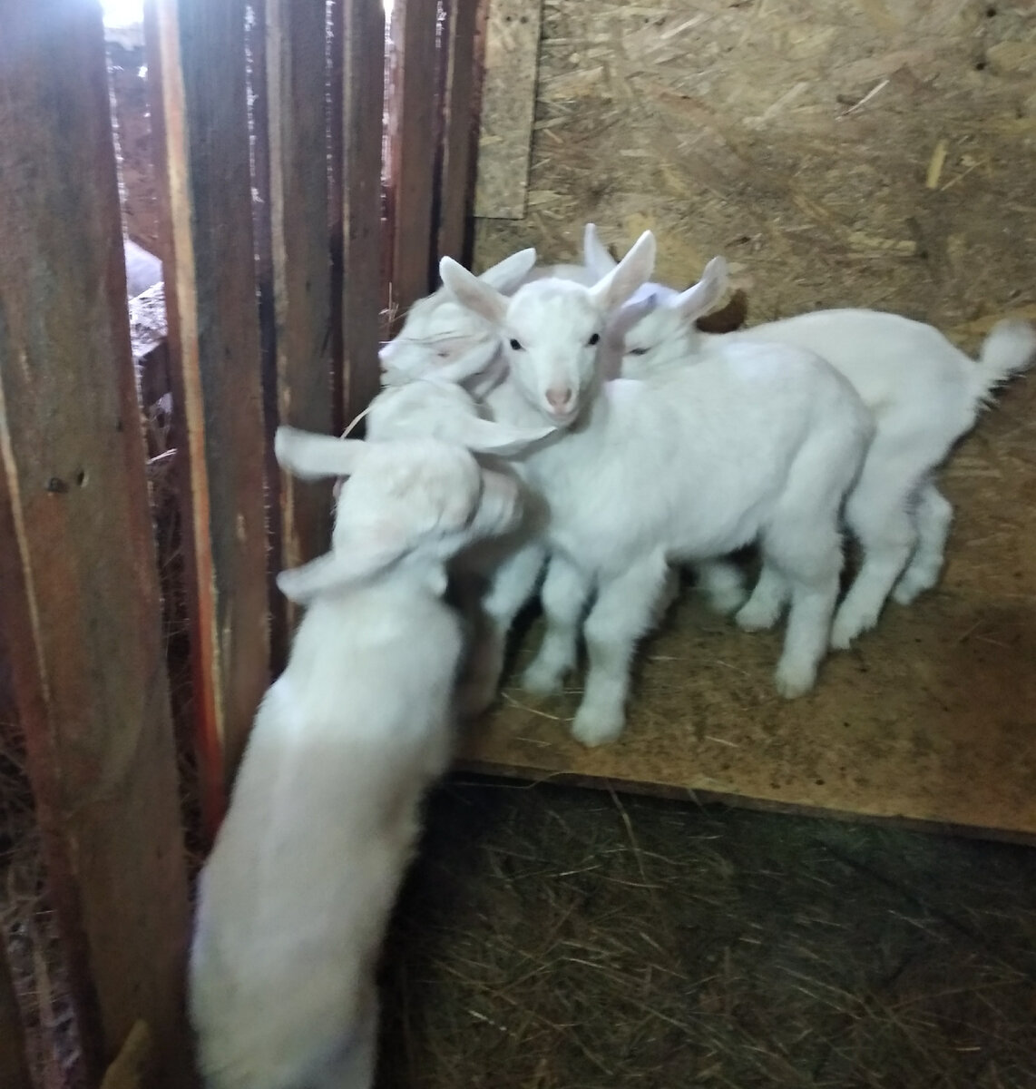 Молодежь подрастает