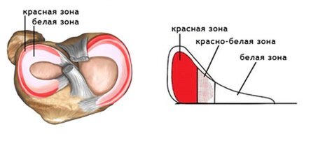 Источник: Яндекс. Картинки