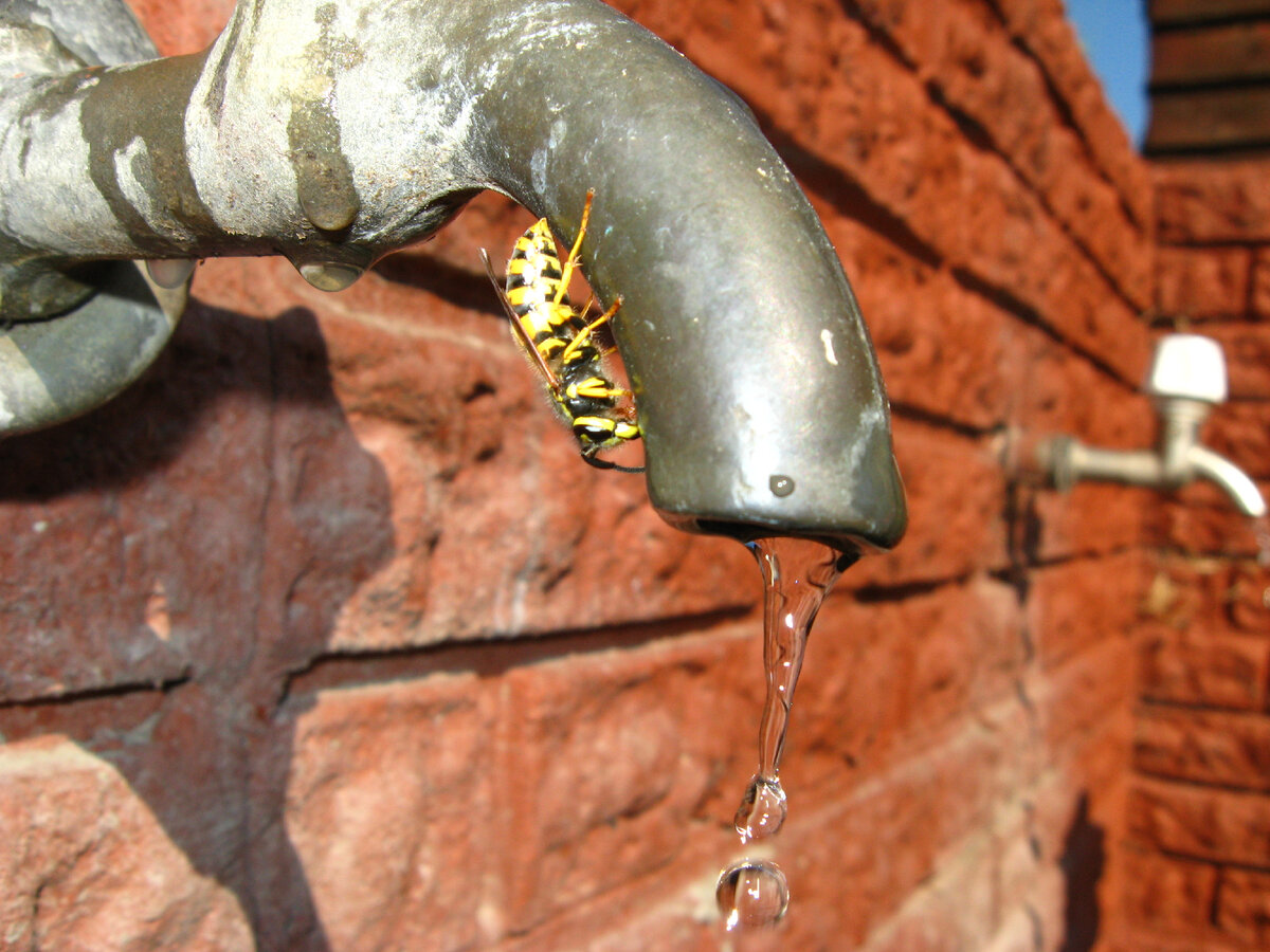 ...пить воду из крана небезопасно!