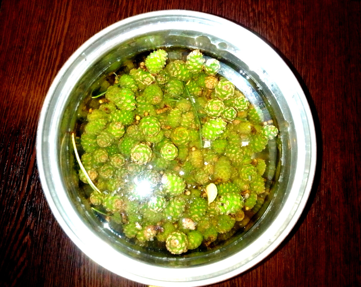 Шишки вымачиваются в холодной воде. Фото автора