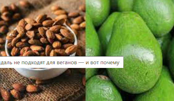 продукты для загара 