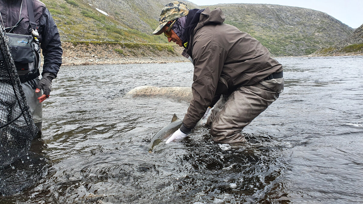 Без качественной вейдерсной экипировки трудно себе представить ловлю сёмги.
