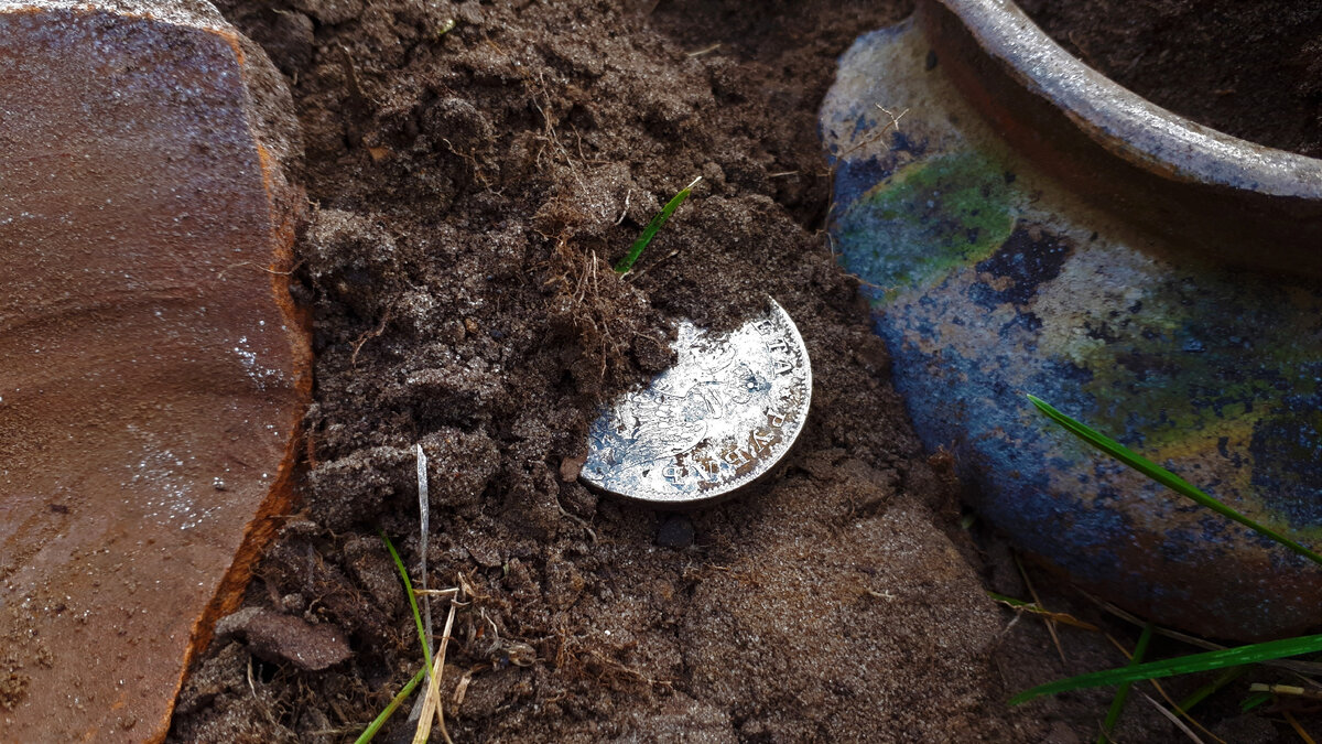 Фото из личного архива