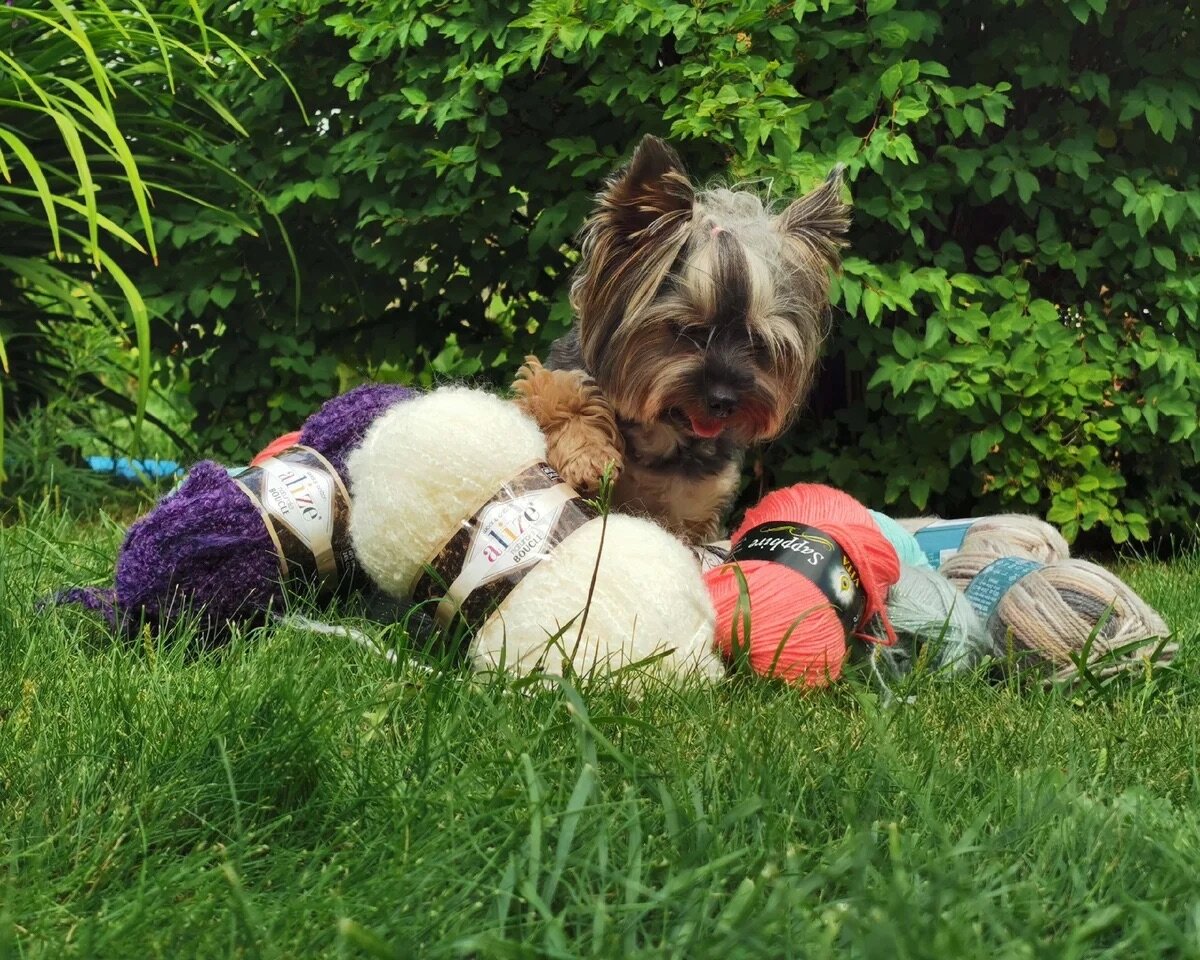 Фото из личного архива