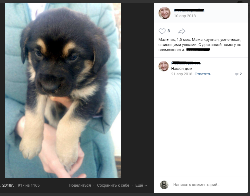 Наш Дик маленький