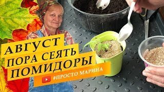 Август. Пора сажать помидоры.