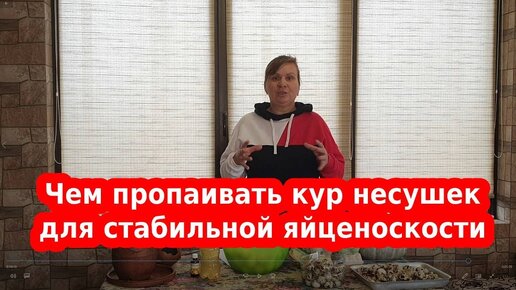 Чем пропаивать кур несушек для стабильной яйценоскости