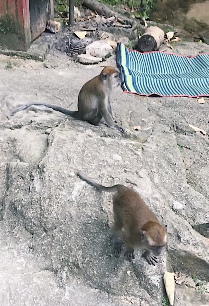Окрестности водопада Канчинг, Куала-Лумпур, Малайзия
