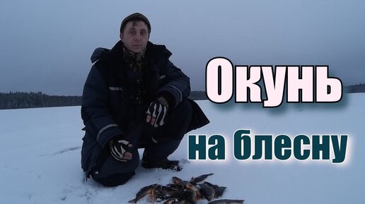 Первый лёд.  Окунь на блесну