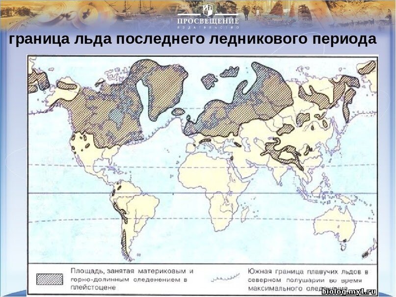 Период распространения. Карта плейстоценового оледенения. Карта распространения ледника. Карта оледенения земли. Границы оледенения в Евразии.