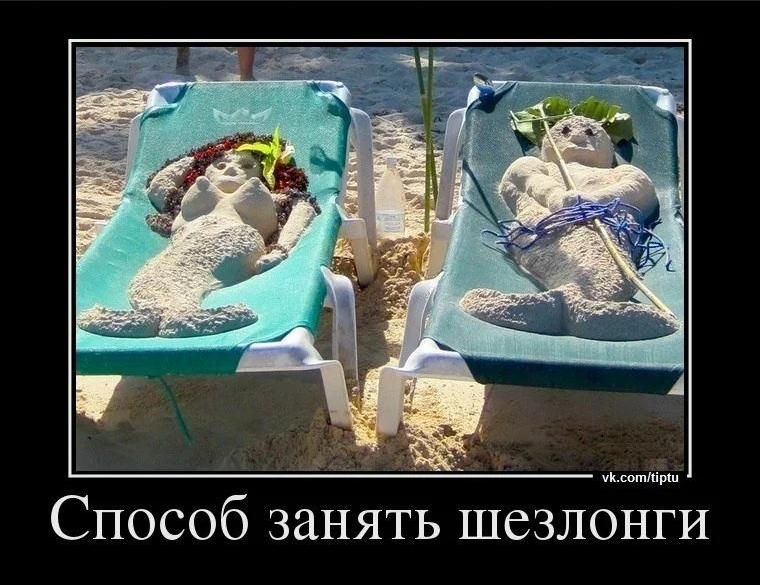 Цитаты про отдых. Кот на море. Смешное путешествие. Кот загорает. Вы хотите отдохнуть.