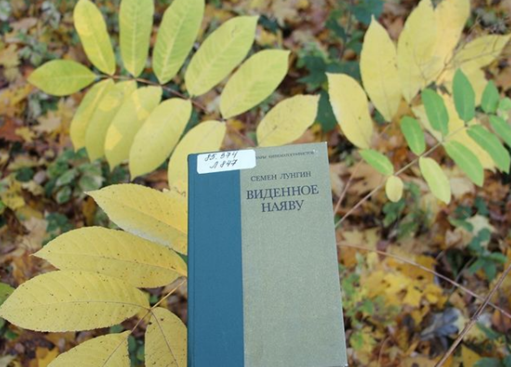 Советское издание книги, недавно, вроде, переиздавали; фото - мое 