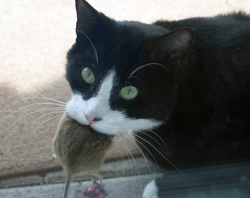 Фото из сети Интернет