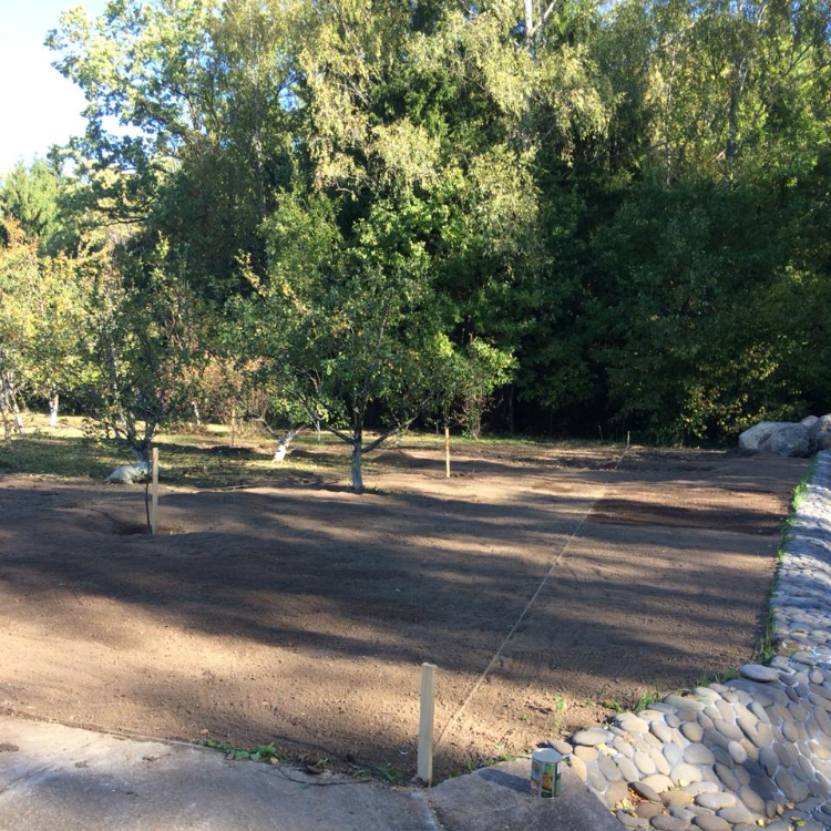 Правильная подготовка почвы под газон. Фото автора