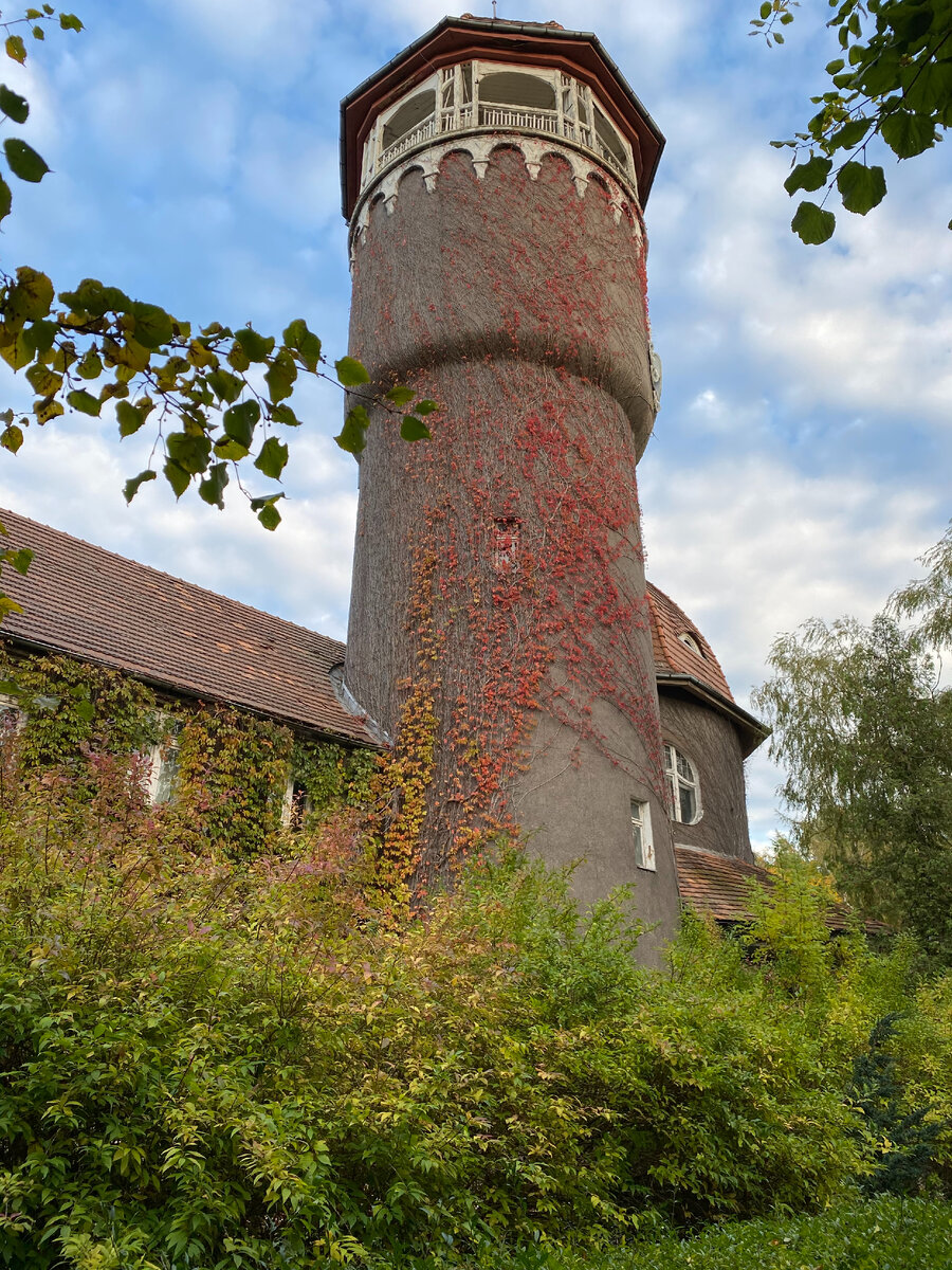 Светлогорск