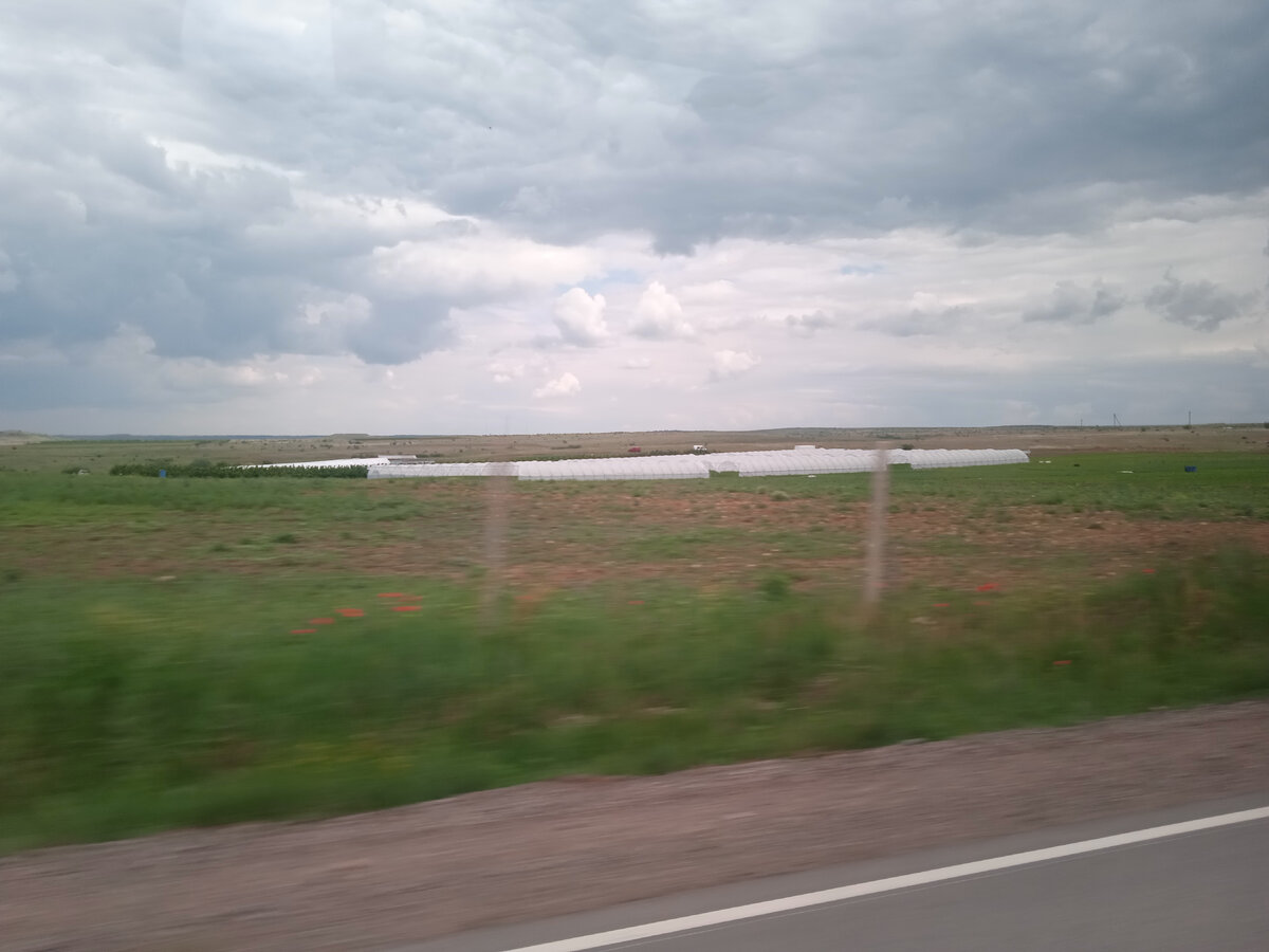Еще теплицы, много