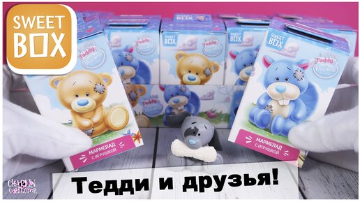 Обзор ★Тедди и друзья ★ Sweet BOX | Tatty Taddy & Blue nose friends | Свит Бокс