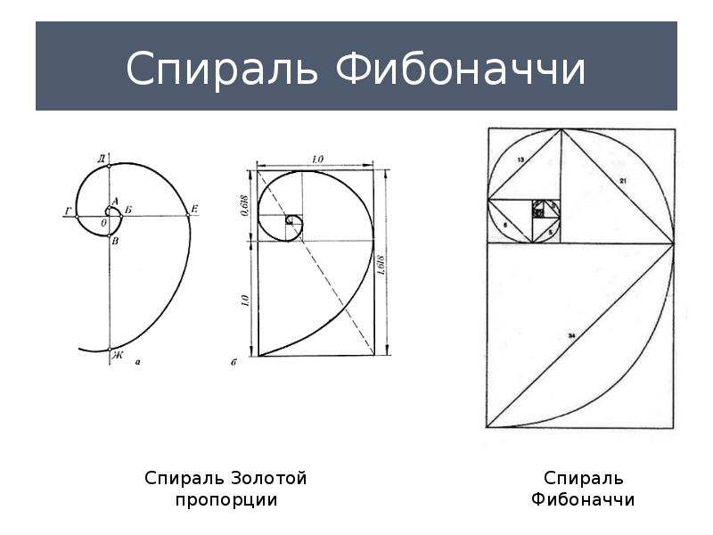 Как найти фибоначчи. Спираль Фибоначчи золотое сечение. Спираль Фибоначчи золотое сечение построение. Золотая спираль спираль Фибоначчи. Число Фибоначчи Золотая спираль.