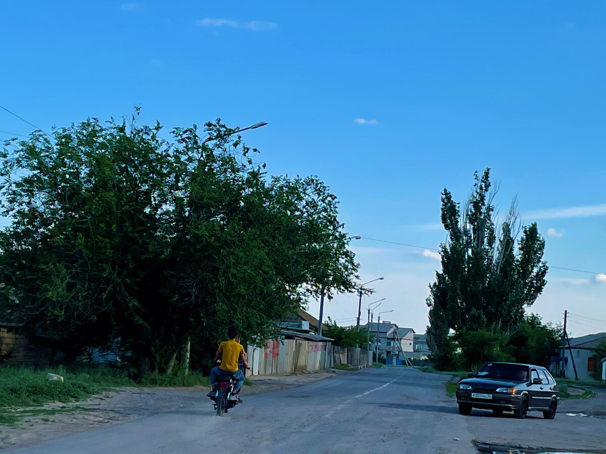 У казахов даже если дом захудалый, все равно ничего во дворе не увидишь,  так тщательно все скрывают от посторонних глаз | Под зонтиком | Дзен