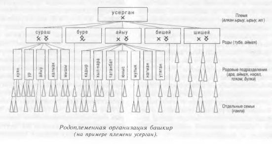 Родоплеменная организация башкир (на примере племени усерган) фото из книги Бикбулатова Н.В. и другие "Башкиры: Этническая история и традиционная культура" 2002 г. 168 с.