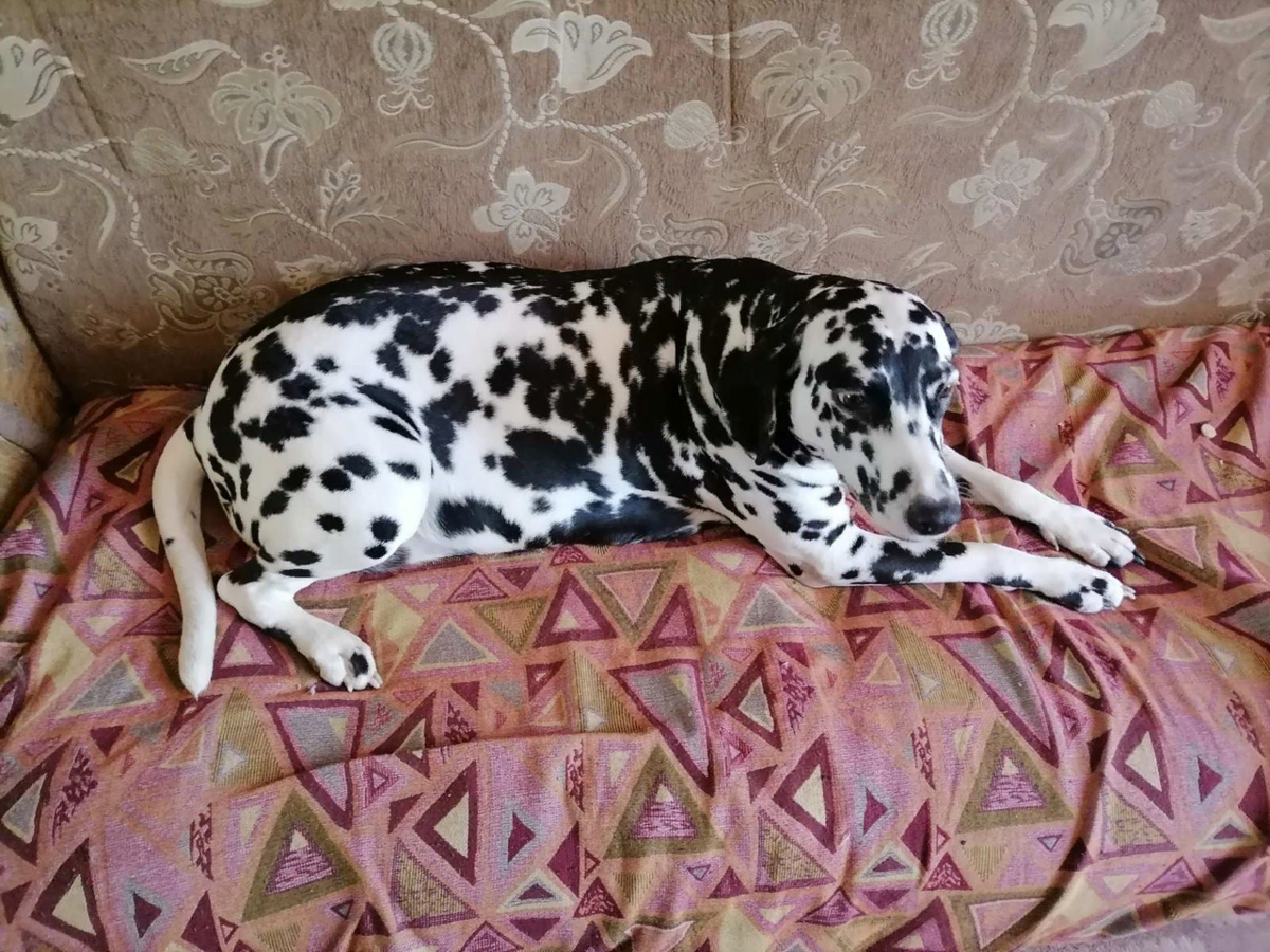 Машуко
