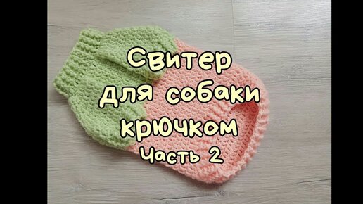 свитер для кошки - Страна Мам