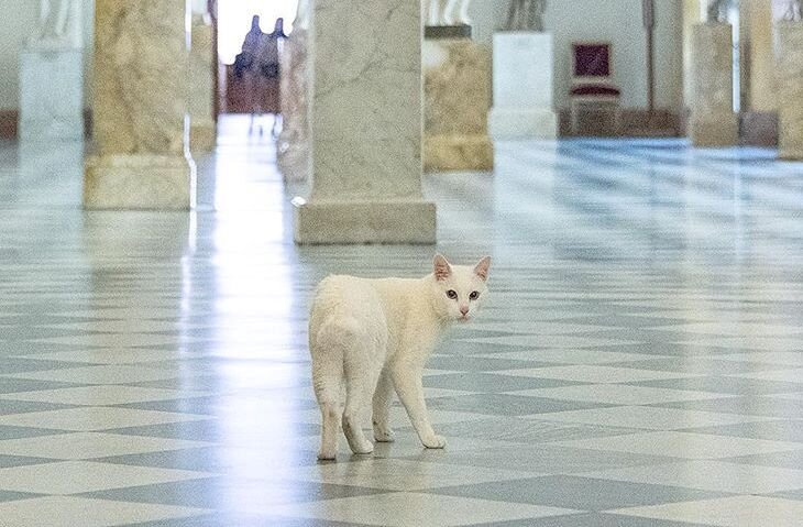 Фото: Ministry of Culture Russia / globallookpress.com