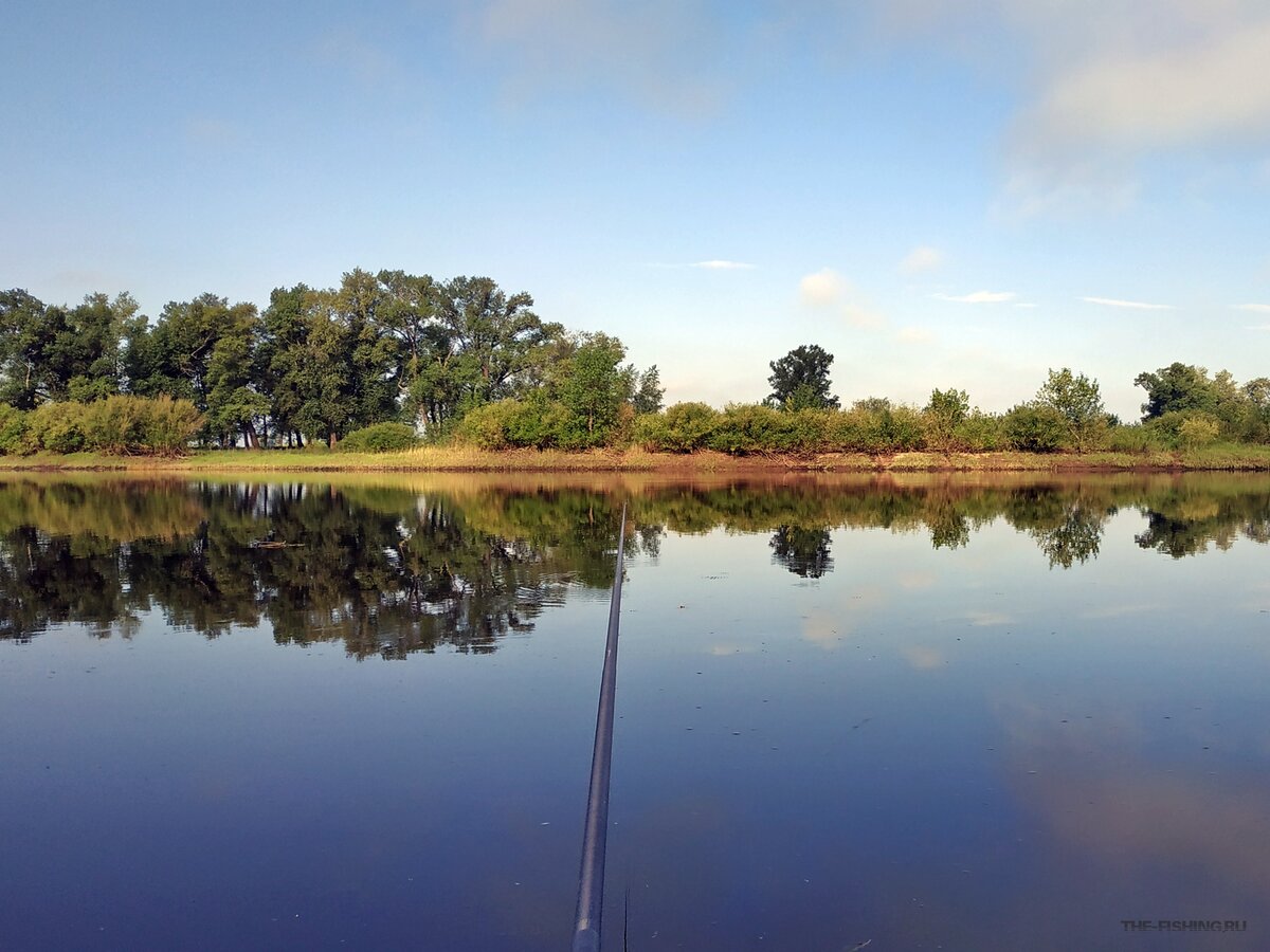 С поплавочной удочкой