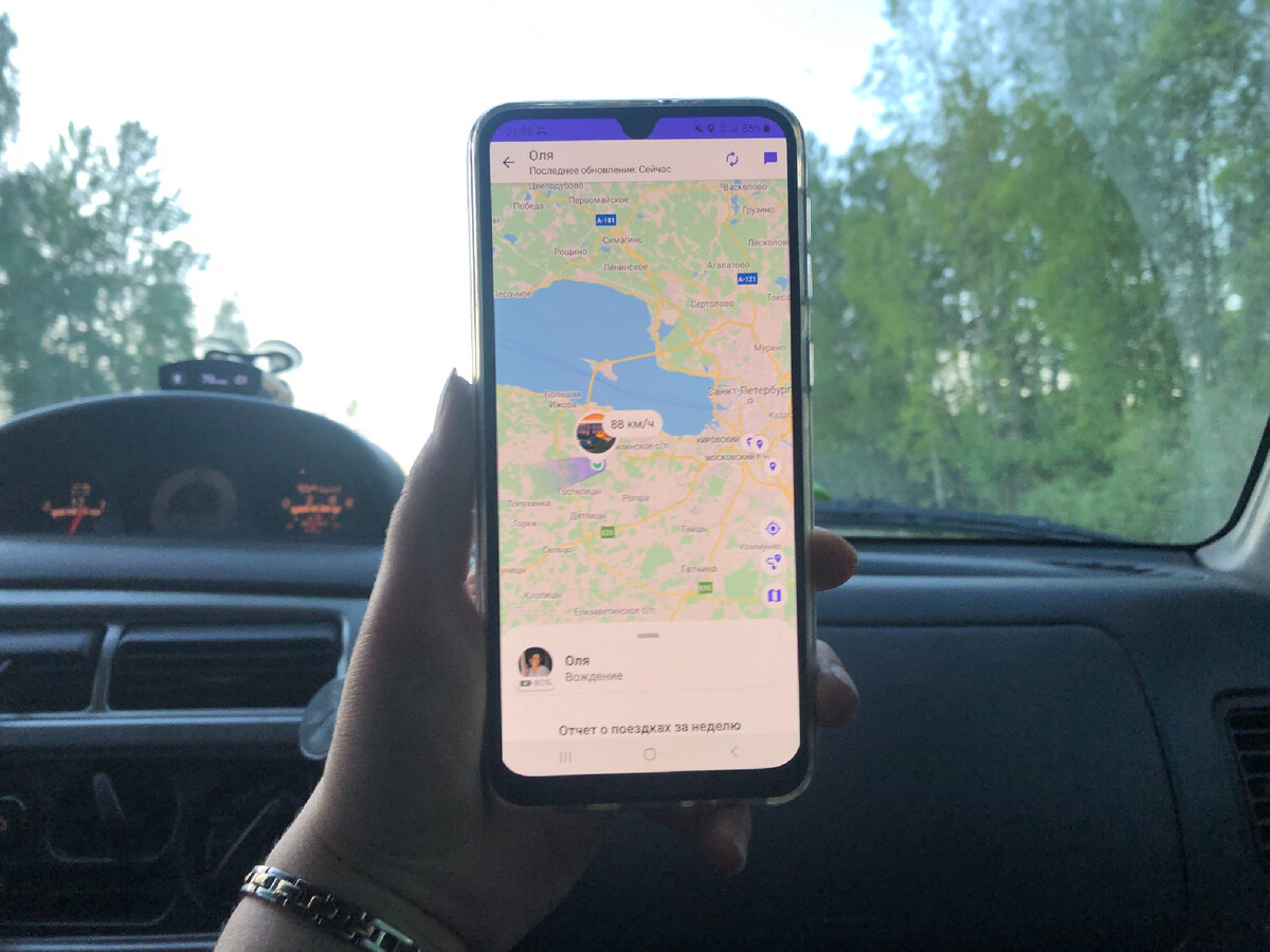 Потеряли в лесу телефон и нашли его с помощью приложений, отслеживаюших  геолокацию | Travel Auto Family | Дзен
