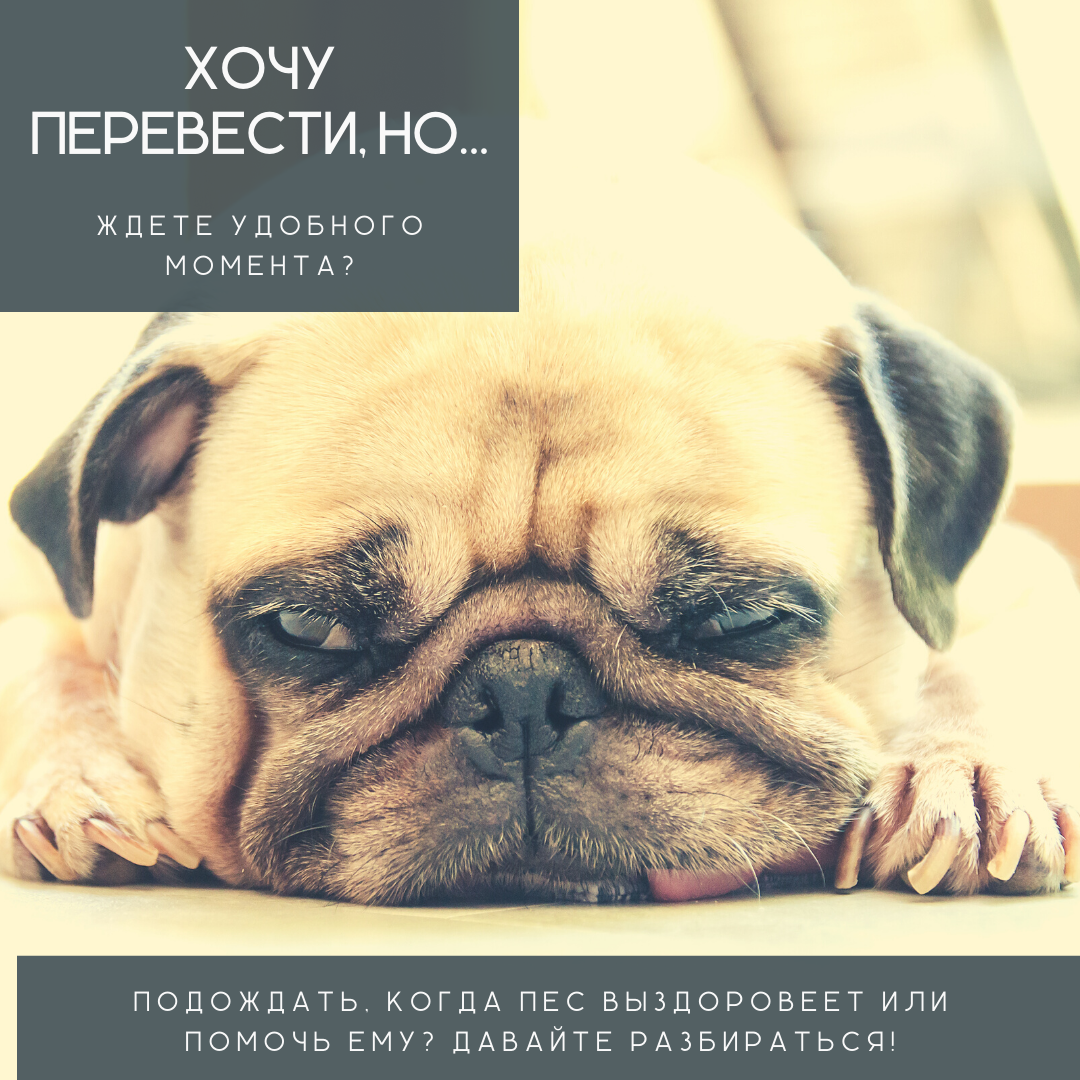 Здоровая еда, возможно, не лечит, но точно ускоряет восстановление организма