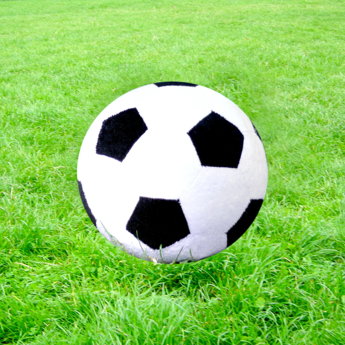 Фото из личного архива