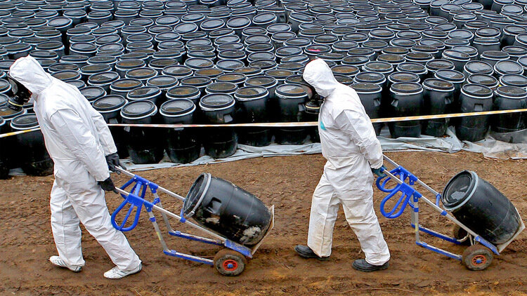 Фото из открытых источников.