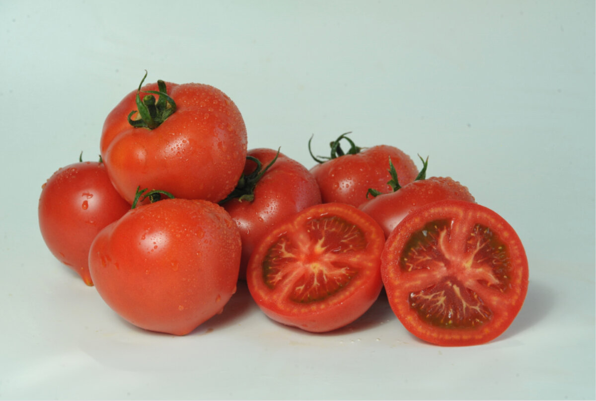 пантера томат гавриш. томат черная пантера f1. томат пантера характеристика и описание. томат пантера f1. томат черная пантера f1.