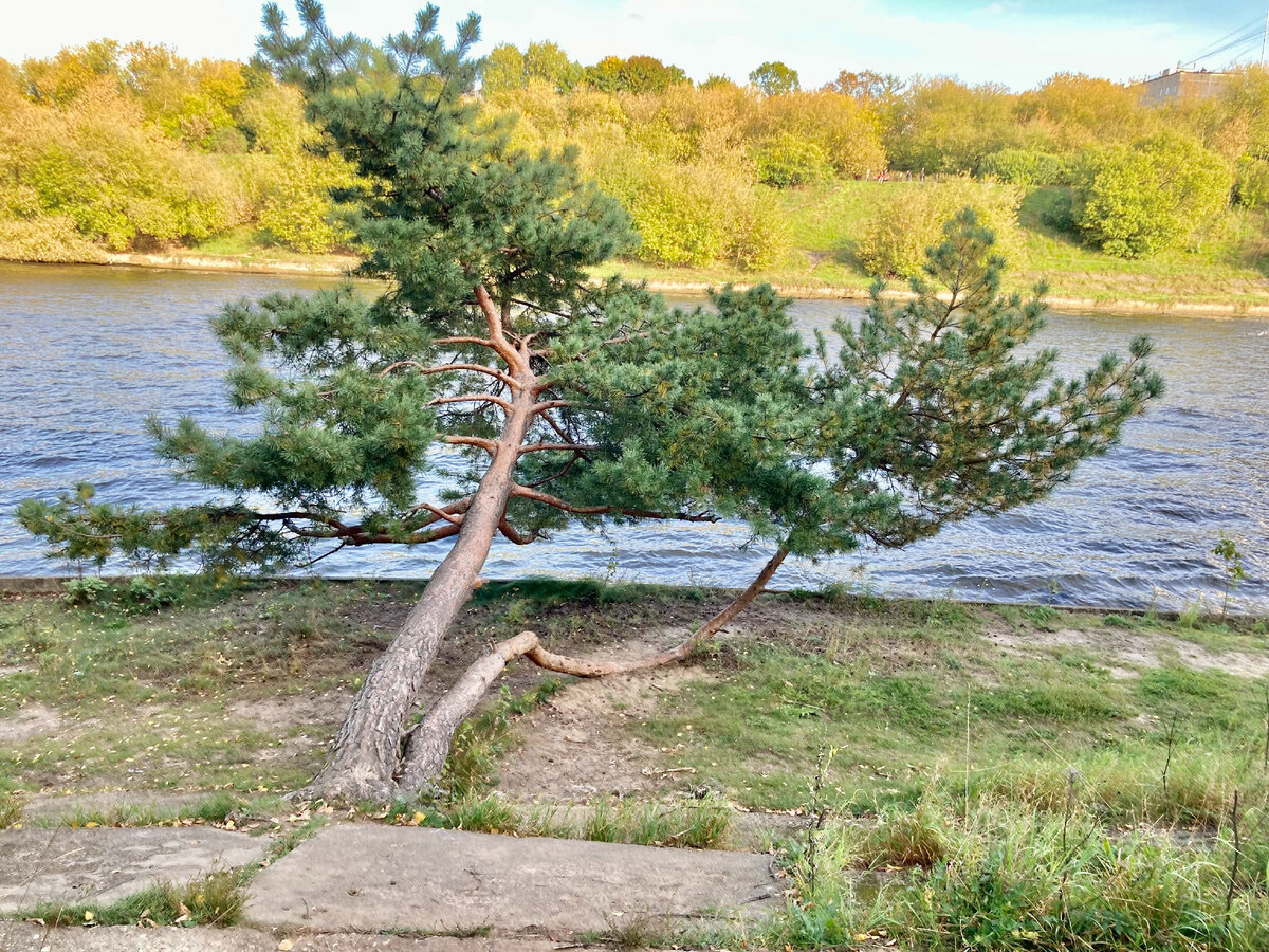 Источник изображения: «Москва.Детали».