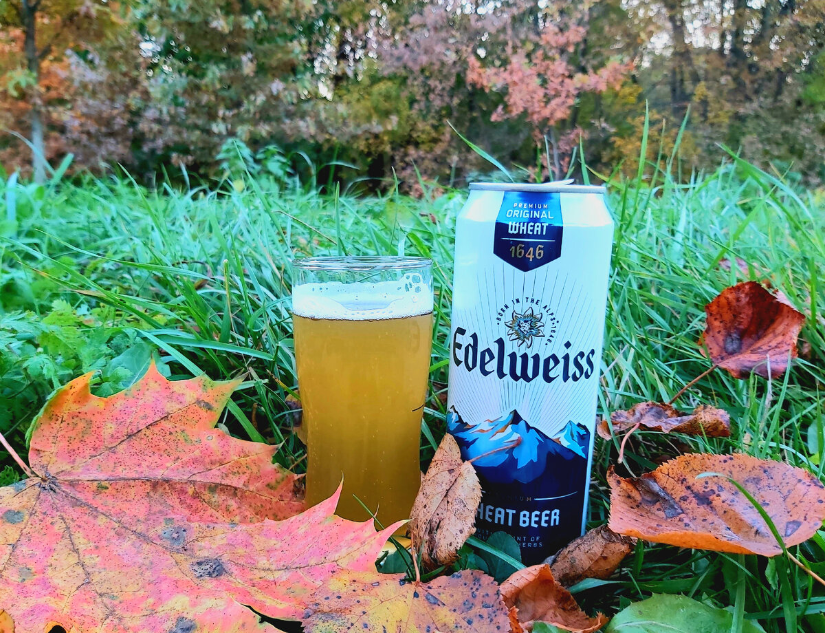 Edelweiss Wheat Beer, фото автора
