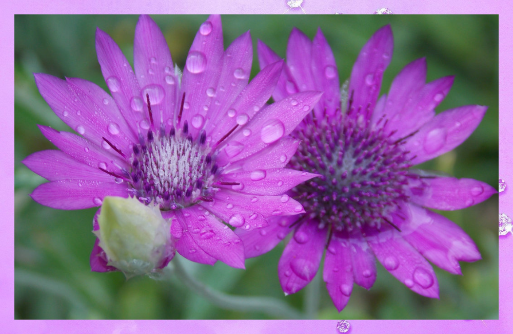 (Источник картинки - https://clck.ru/YwNk5)