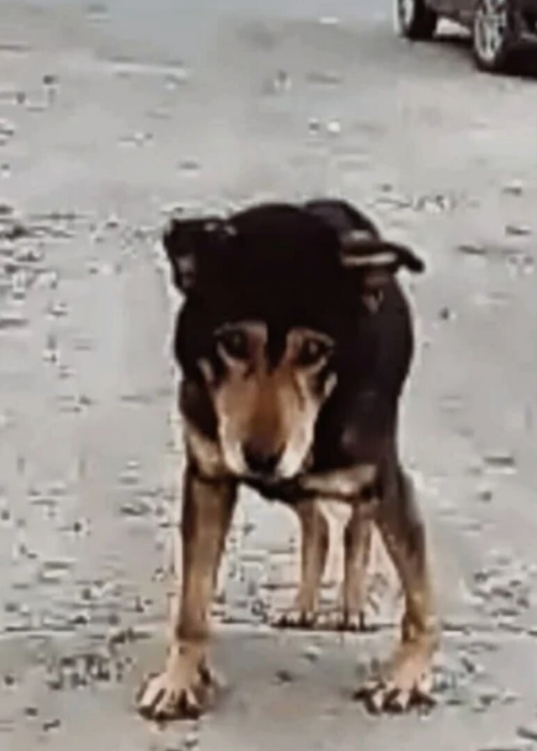 Вот так Сема в слепую наугад бродил по улицам