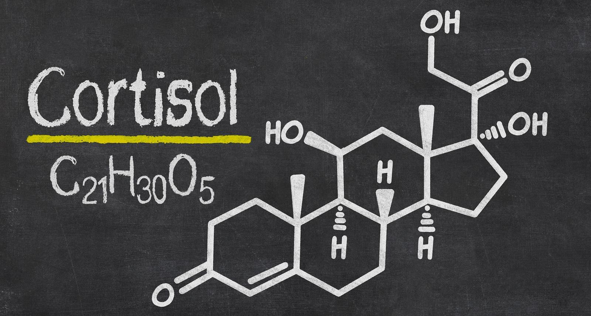  Кортизол — #гормон, который вырабатывается наружным слоем надпочечников. Оказывает большое влияние на организм: избыток или дефицит кортизола — результат большого числа заболеваний.