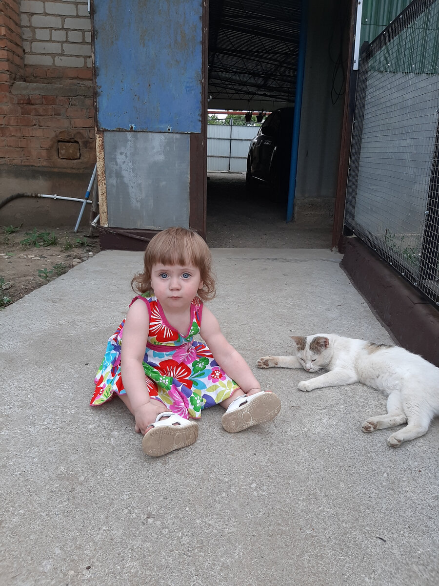 Из личного архива. Кот деревенский. 