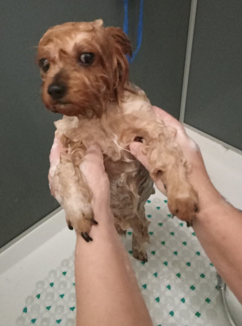 Как бы к выходу пробраться незаметно?