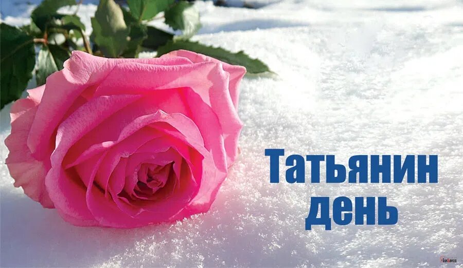 Татьянин день. Иллюстрация: Курьер.Среда