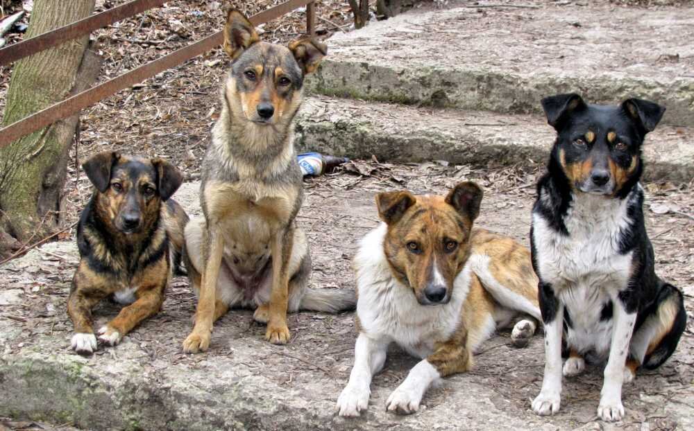 Ну что предатель, ножки замерзли!